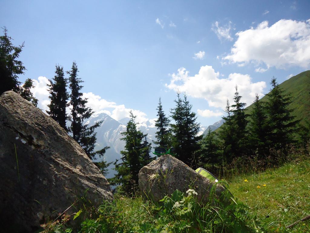 Appartement Einoedberg Mittersill Oda fotoğraf