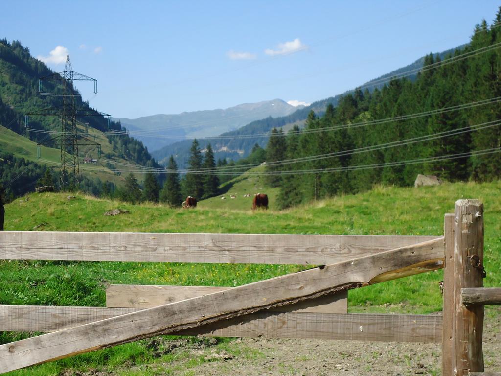 Appartement Einoedberg Mittersill Oda fotoğraf